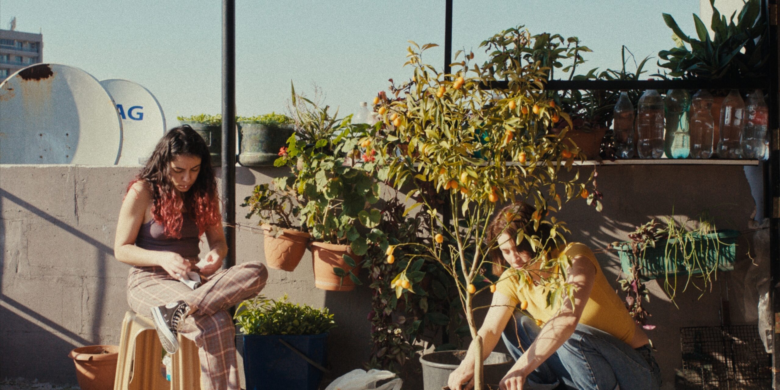 Still 2025-10-20 142036_1.31.1